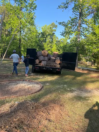 Crew loading large logs onto a dump trailer after tree removal