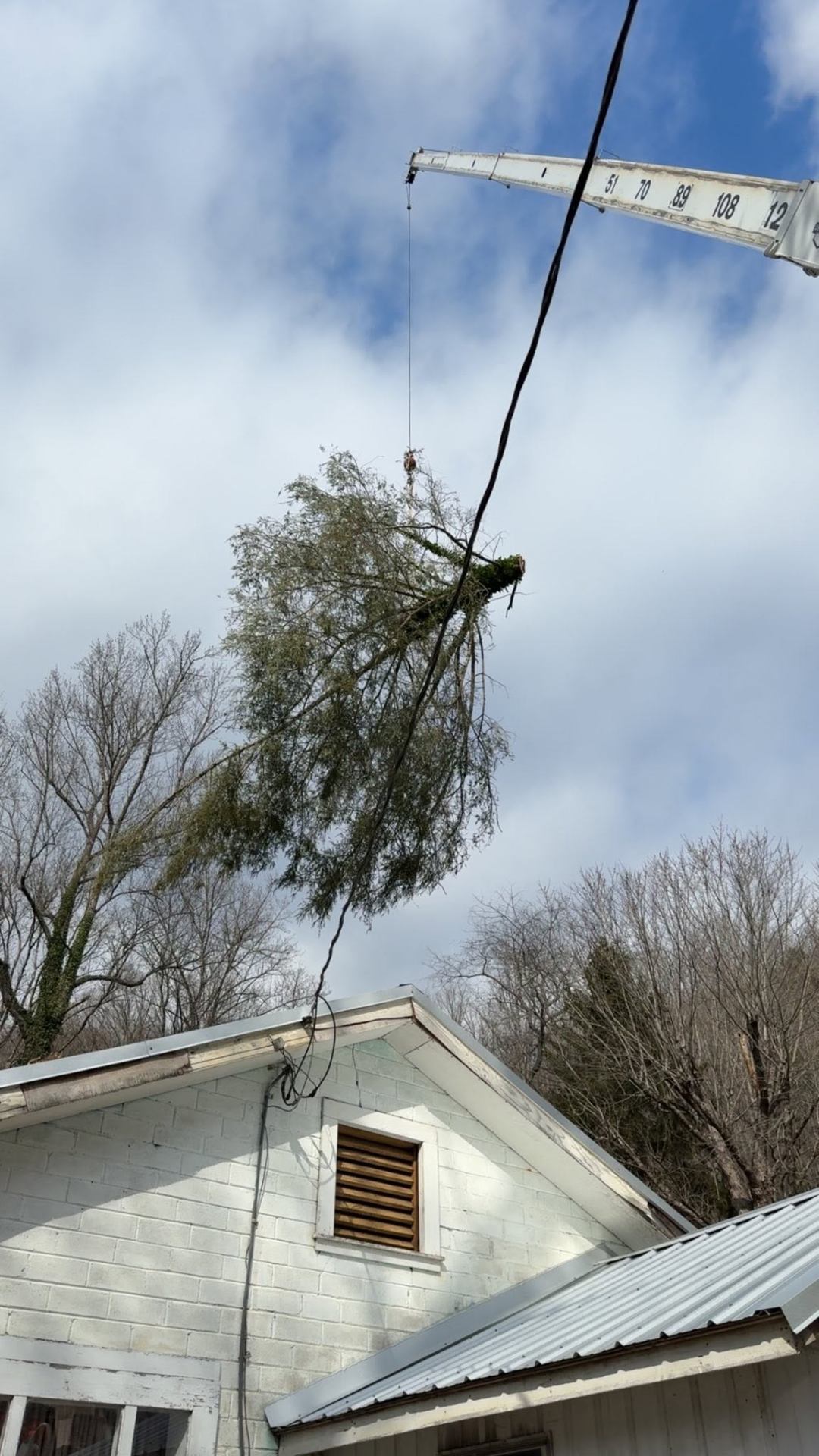 Crane-assisted tree removal next to a home